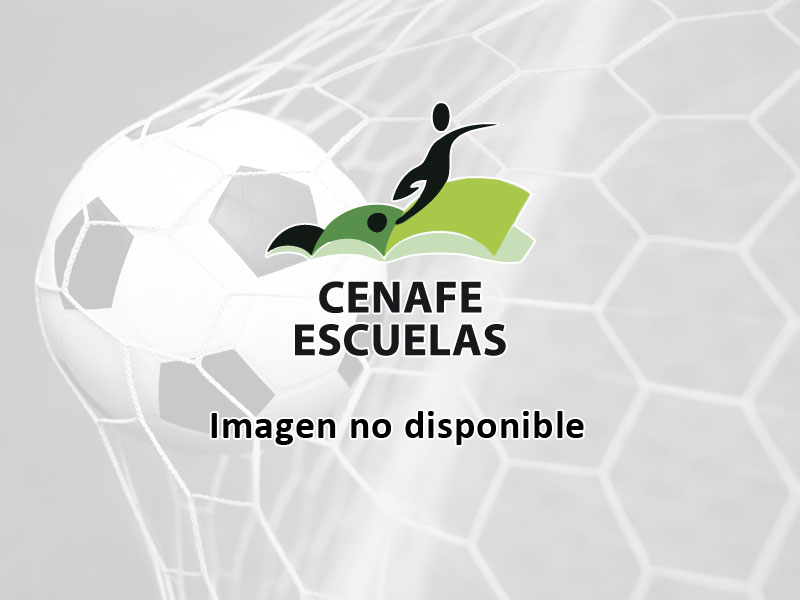 Curso de Dirección Deportiva en Fútbol
